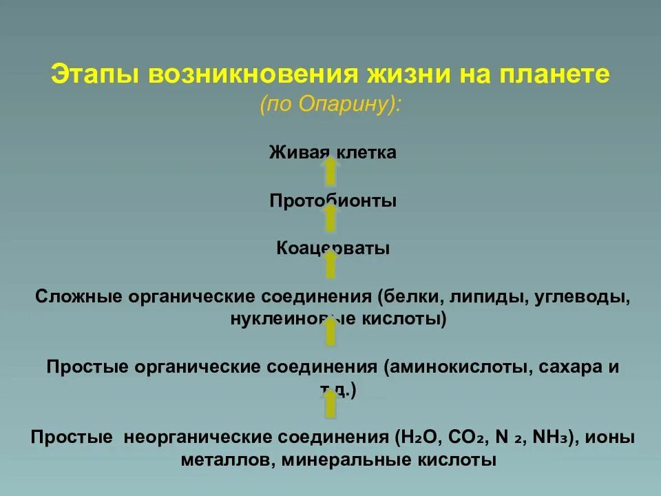 Этапы жизни по опарину. Этапы возникновения жизни. Этапы происхождения жизни. Этапы возникновения жизни на земле. Этапы происхождения жизни по Опарину.