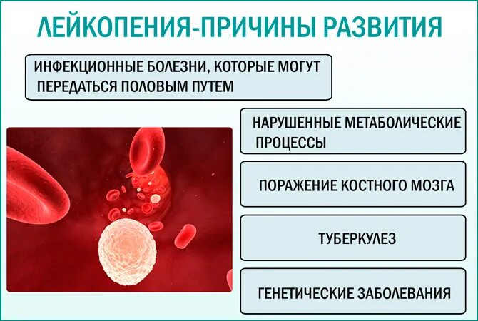 Пониженные лейкоциты причина у мужчин. Лейкопения. Лейкопения причины. Причина развития лейкопении. Лейкопения при инфекционных заболеваниях.