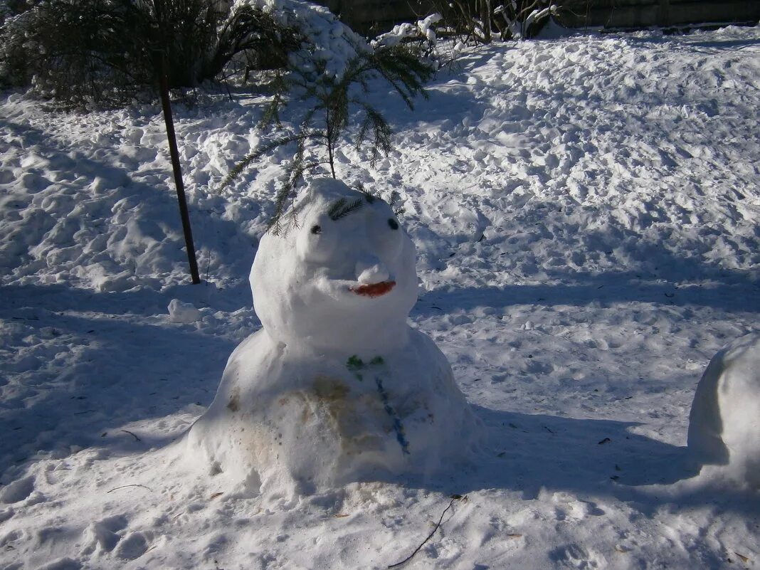 Снежная баба. Снежная баба из снега. Февраль Снеговик. Снеговик не из снега.