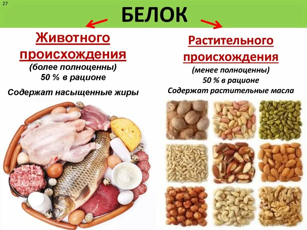 Белки животного происхождения. Белки животного и растительного происхождения. Растительные и животные белк.. Продукты источники белка животного происхождения.