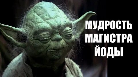 Мудрость не по годам