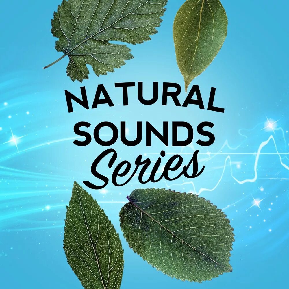 Sounds of nature. Nature sounds nature music. Ambient sounds. Naturals sounds. Naturals sounds.
