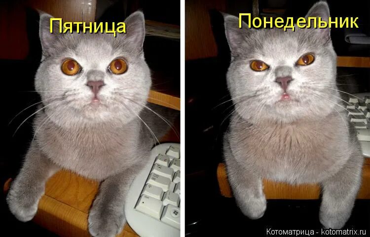 Тогда посмотришь