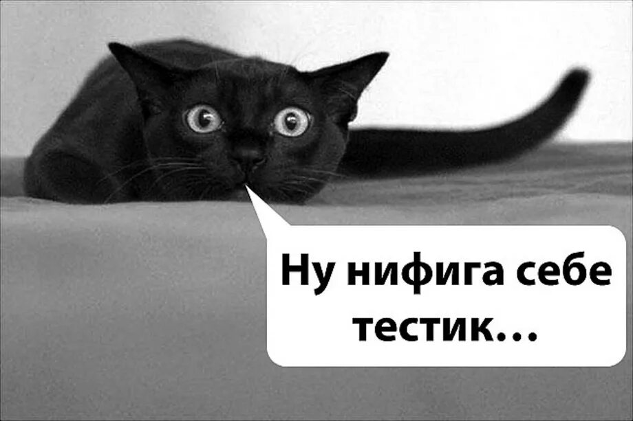 Ни фига се, смайлик. Нифига себе. Стикеры нифига. Ну ни фига себе. Открытки со словами нифига себе.