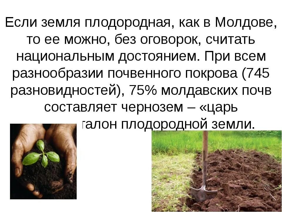 Повышением плодородия земли. Плодородие почвы. Плодородность почвы. Плодородные почвы сообщение. Рассказ о плодородии почвы.