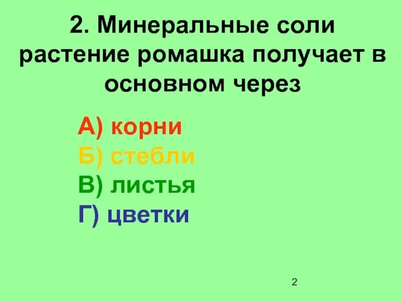 В основном через. Минеральные соли растение ромашки получает в основном через. через что получает ромашка минеральные соли. минеральные соли для растений. через что растения получают минеральные соли.