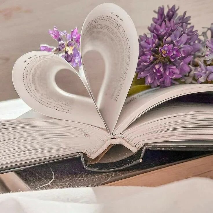 вселенная исполняет желания. книга это целый мир. солнышко в ладонях. радуга любви. книгармония надея ясминска цитаты.