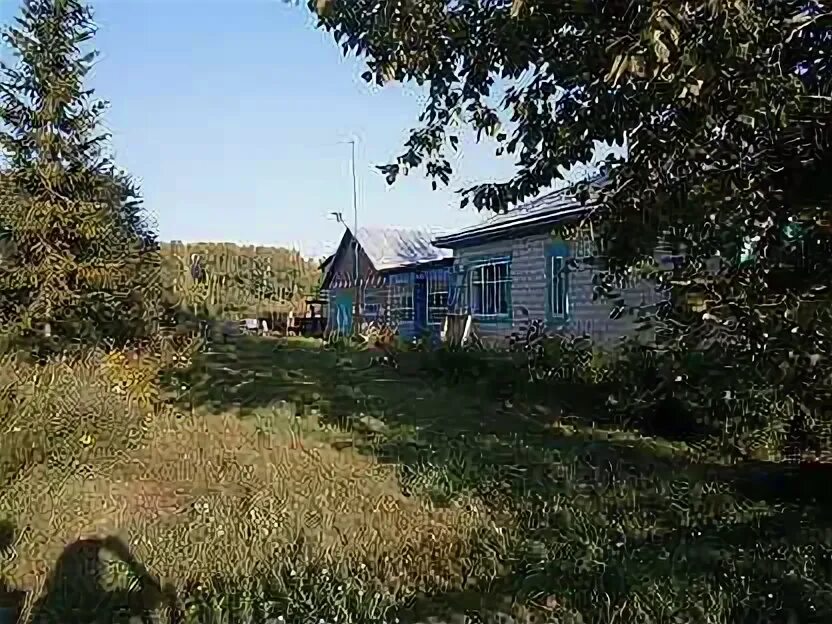 Глядень красноярский. Село глядень алтайский край.