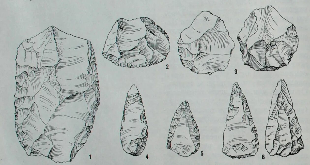 Палеолит Мустье. Нуклеусы Мустье. Каменные орудия Мустье. Скребло Мустье. Рисунки рубило