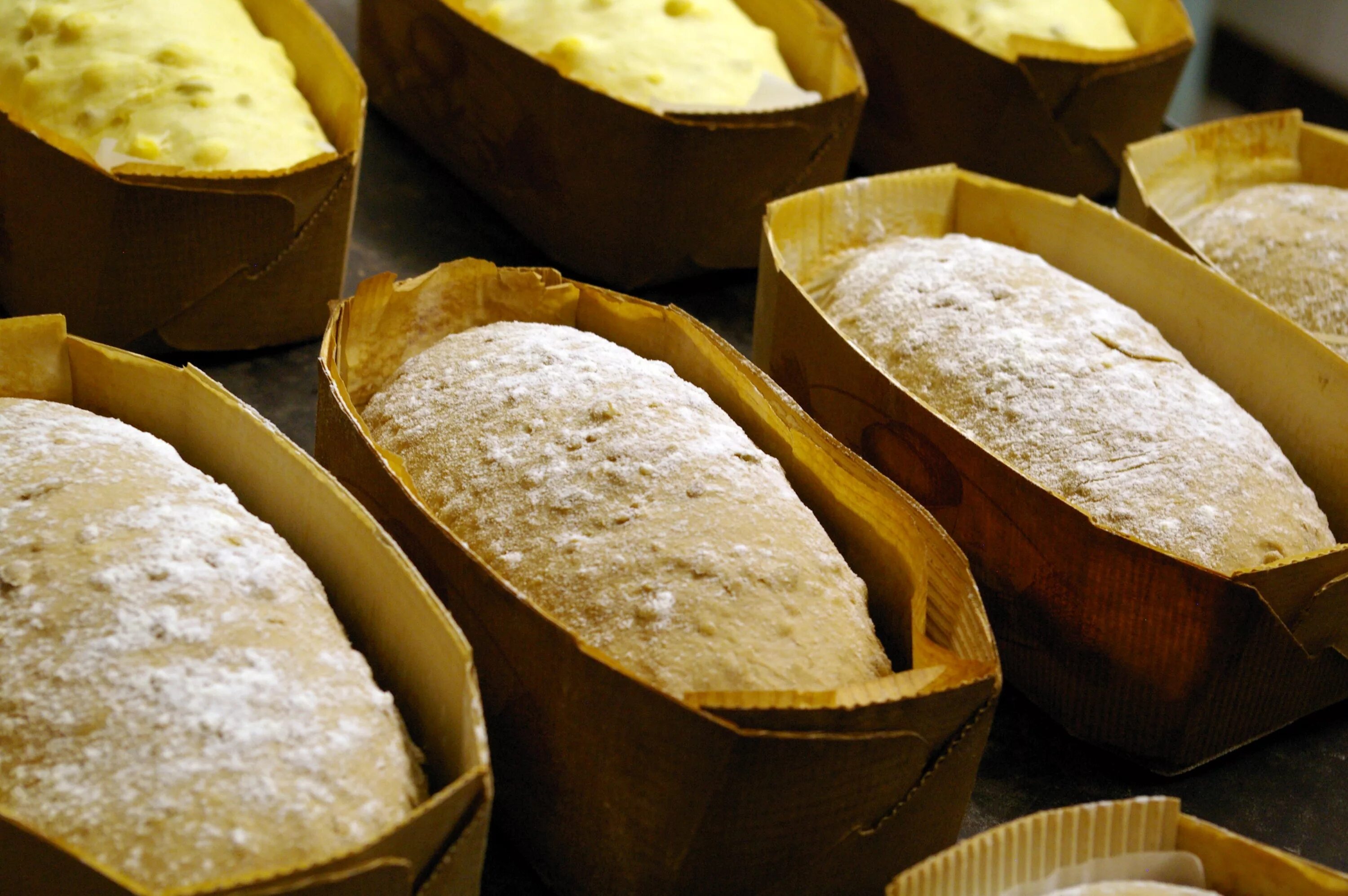 Приготовление ржаного теста. Формовка хлеба. Приготовление в формах для хлеба. Тесто в форме для хлеба. Форма для формовки хлеба.