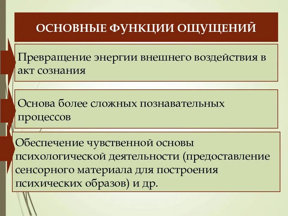 Функции ощущений. Функции ощущений в психологии. Познавательная функция ощущения. Функции чувств.