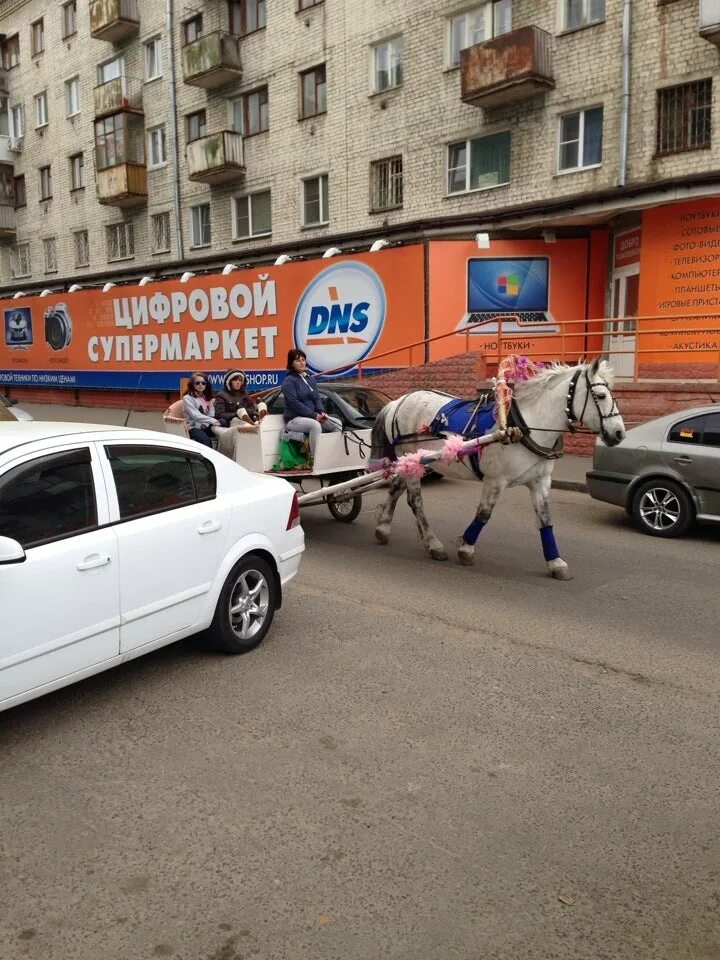 Проспект Швейников Тверь. ДНС Тверь Победы 14. Автозвук Тверь магазин.