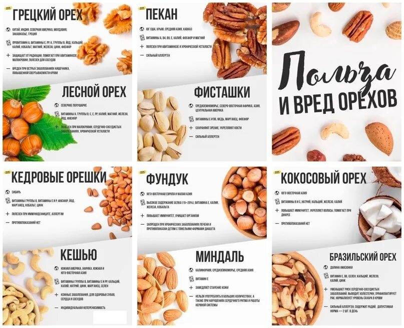 Полезные свойства фундука ореха. Орехи с описанием. Польза фундука ореха. Фундук орех витамины. Орехи фундук вред.
