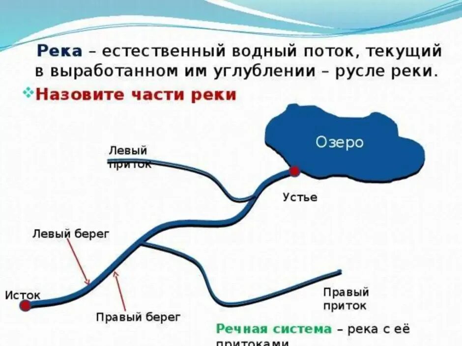 Какие воды находятся в вашей местности. Схема реки Исток русло Устье. Схема реки Исток приток Устье. Что такое Устье реки и Исток и русло и приток. Схема реки Исток приток русло Устье.