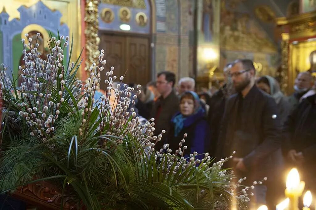 Какого числа вербное в этом году. Неделя 6-я ваий (Цветоносная, Вербное воскресенье). Вербное воскресенье храм Сергия Радонежского Волгоград. Архиепископ Матфей Вербное воскресенье. Седмица ваий.