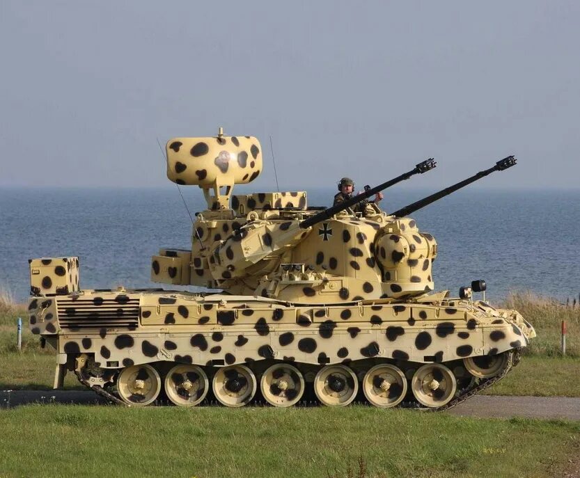 Gepard hss. Зсу гепард 1а2. gepard зенитка. зрк гепард. танк гепард.