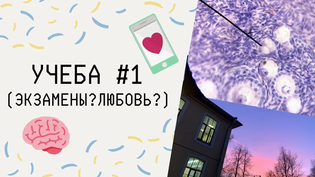 Издательство арлекин любовные романы. Пенза тюз афиша. Амели сарн школа звёзд. Экзамен книги. Ти ди джейкс.