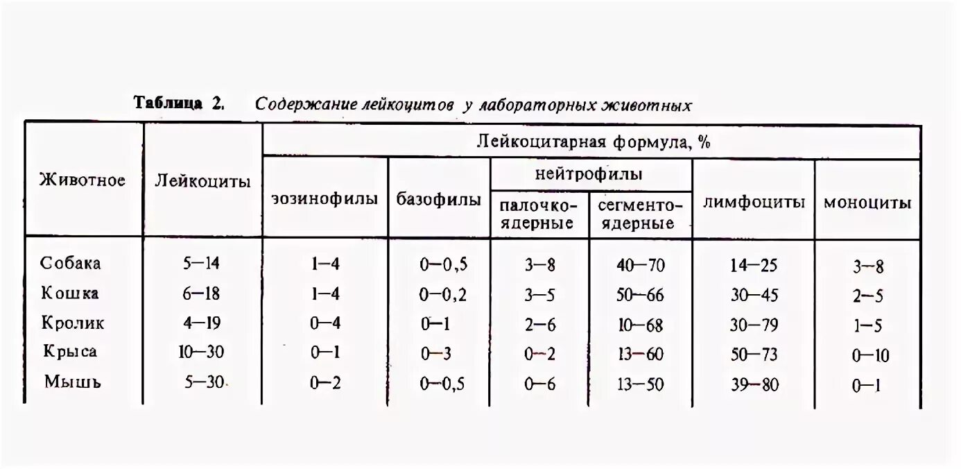 Лейкоцитов 0 что значит. Лейкоцитарная формула животных. Лейкоцитарная формула крови животных. Лейкоцитарная формула собаки. Лейкоцитарная формула КРС.