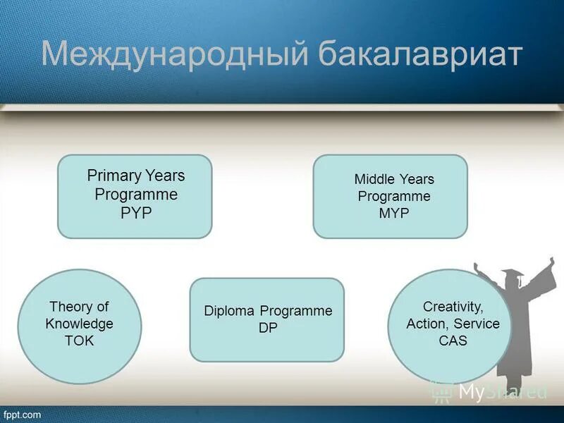 Международный бакалавриат. Международный бакалавриат IB. Программа международного бакалавриата. План международного бакалавриата.