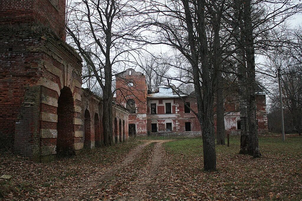 Купить дом волосовский ленинградская область. Усадьба Редкино. Усадьба Редкино Ленинградская область. Усадьба Редкино Волосовский район. Редкинская Мыза усадьба.