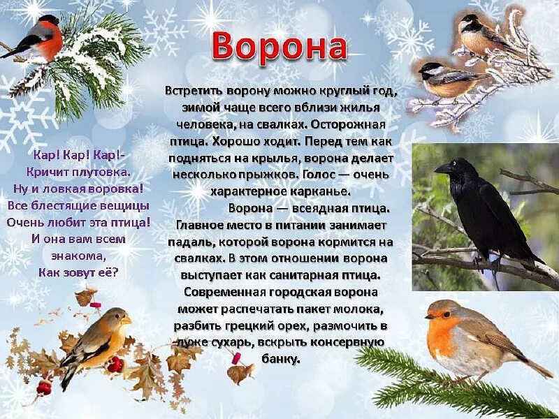 Зимующие птицы для детей. Зимующие птицы для дошкольников. Рассказ о зимующих птицах. Зимующие птицы презентация.
