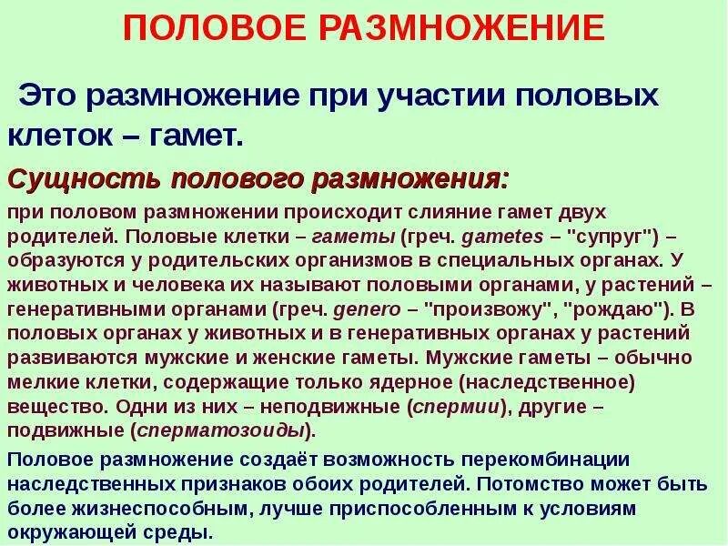 В основе размножения организмов лежит