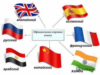 Назовите официальные международные языки география 7 класс