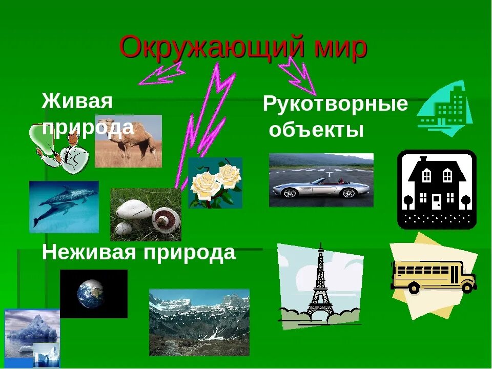 Примеры живой природы 2 класс окружающий мир. Рукотворный и природный мир. Природа и рукотворный мир. Предметы природы и рукотворного. Живая неживая природа рукотворный мир.