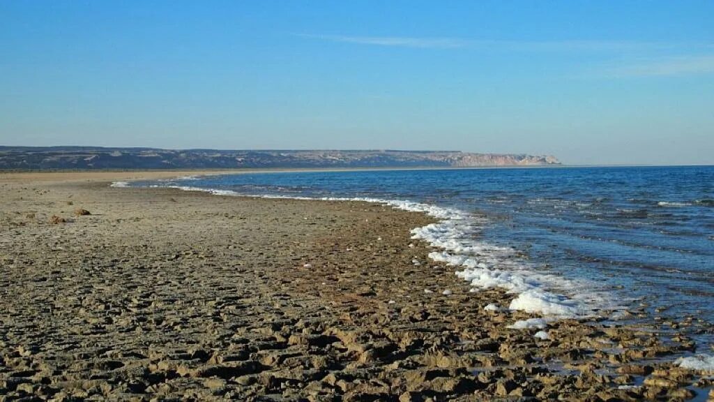 Мелеющее море в средней азии. Обмеление каспийского моря. мелеющее море. каспийское море мелеет. сарыкамышское озеро.