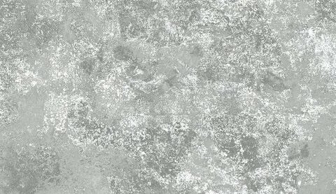 Silver 080