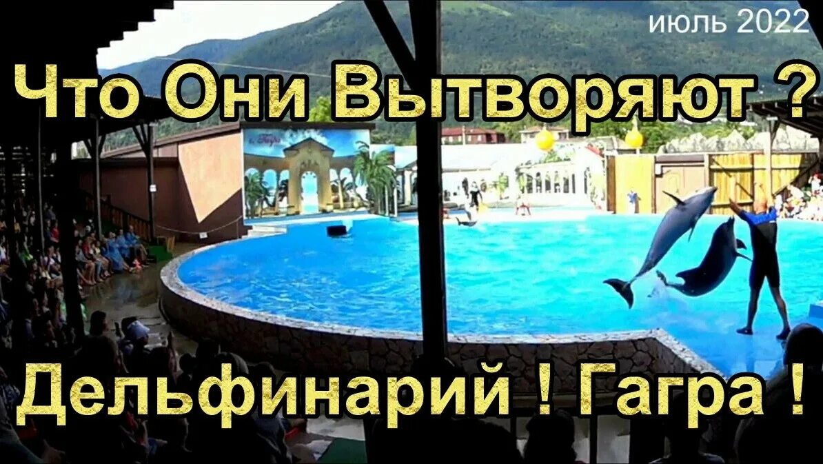 Дельфинарий гагра. Дельфинарий пицунда. Дельфинарий гагра. Дельфинарий гагра. Дельфинарий гагра.
