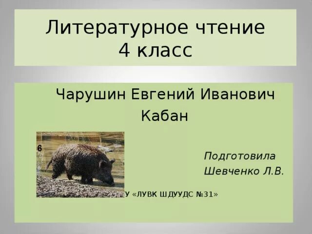 Пересказ рассказа кабан. Кабан е и Чарушин 4 кл. Чарушин кабан 4 класс литературное чтение.