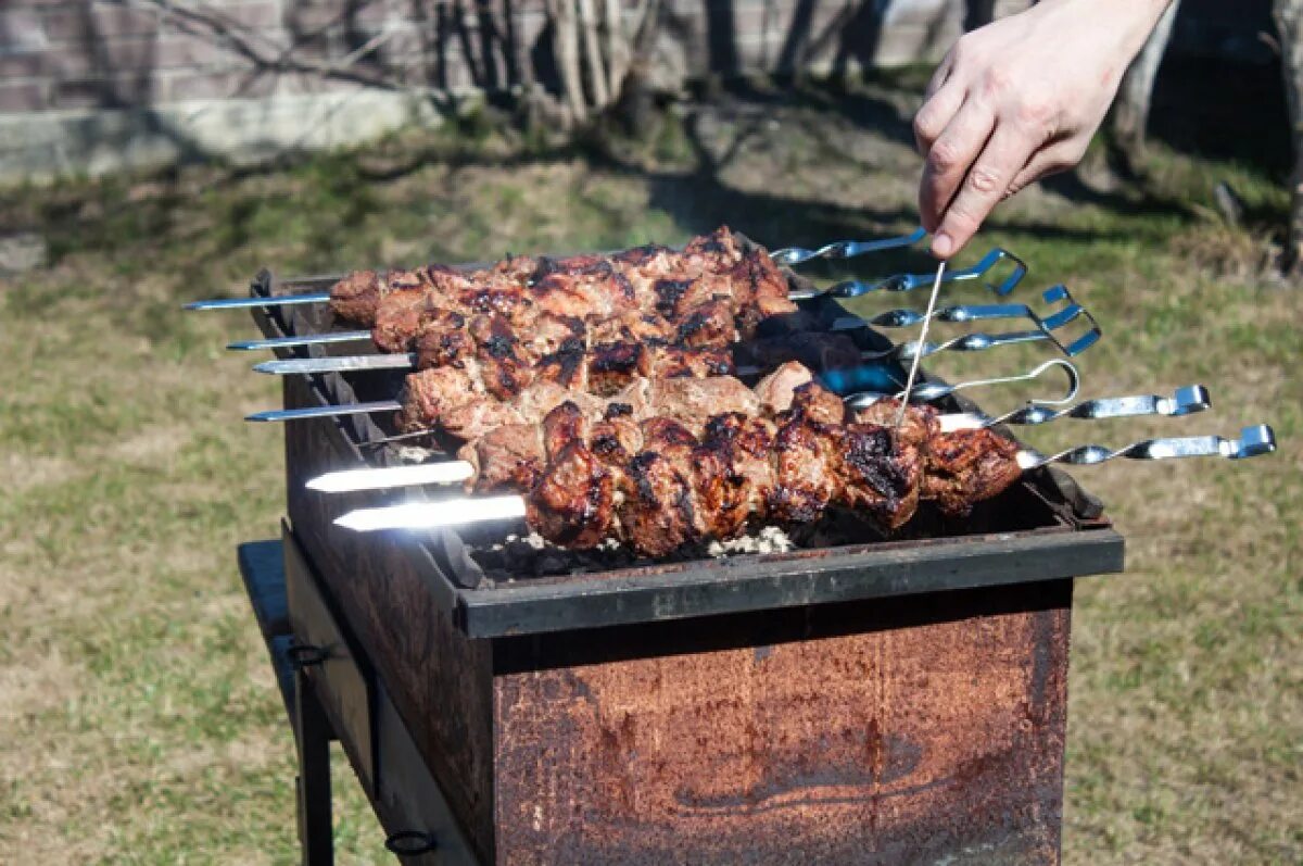 Шашлык на мангале. Шашлыки весной. Мясной шашлык.