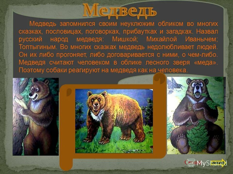 главные герои медведь. главные герои медведь. медведь из сказки. жизнь серого медведя сетон томпсон. главные герои медведь.