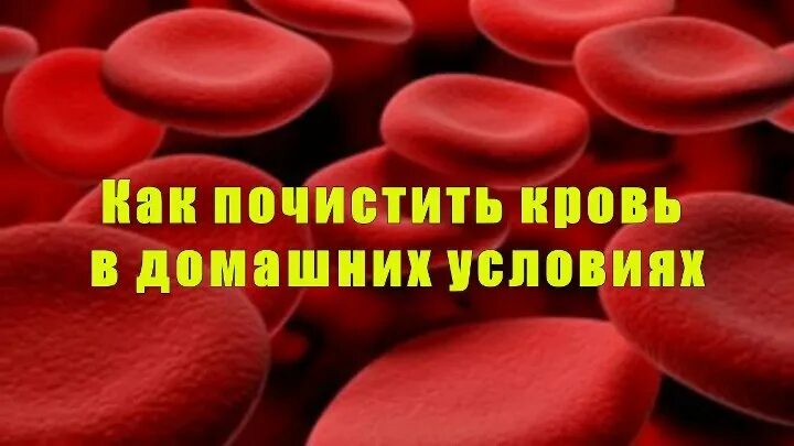 Как очищается кровь. Таблетки кровь чистить. Какие таблетки чистят кровь?. Как очистить кровь в домашних условиях.