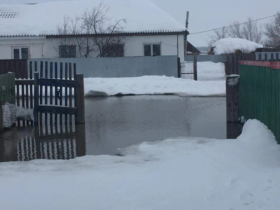 Погода омск заречное