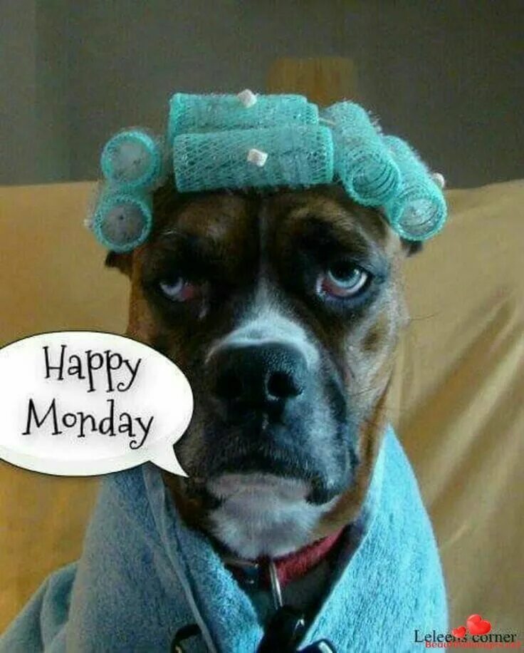 Up it s monday