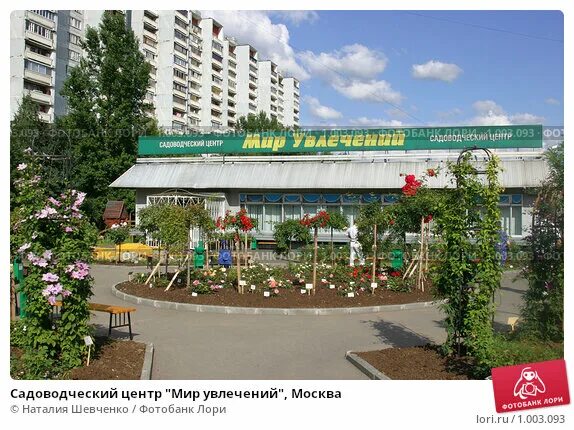 москва ул 26 бакинских комиссаров 12/2. садоводческий центр мир увлечений в медведково. мир увлечений садовый магазин. садовый магазин медведково. мир увлечений отрадное.