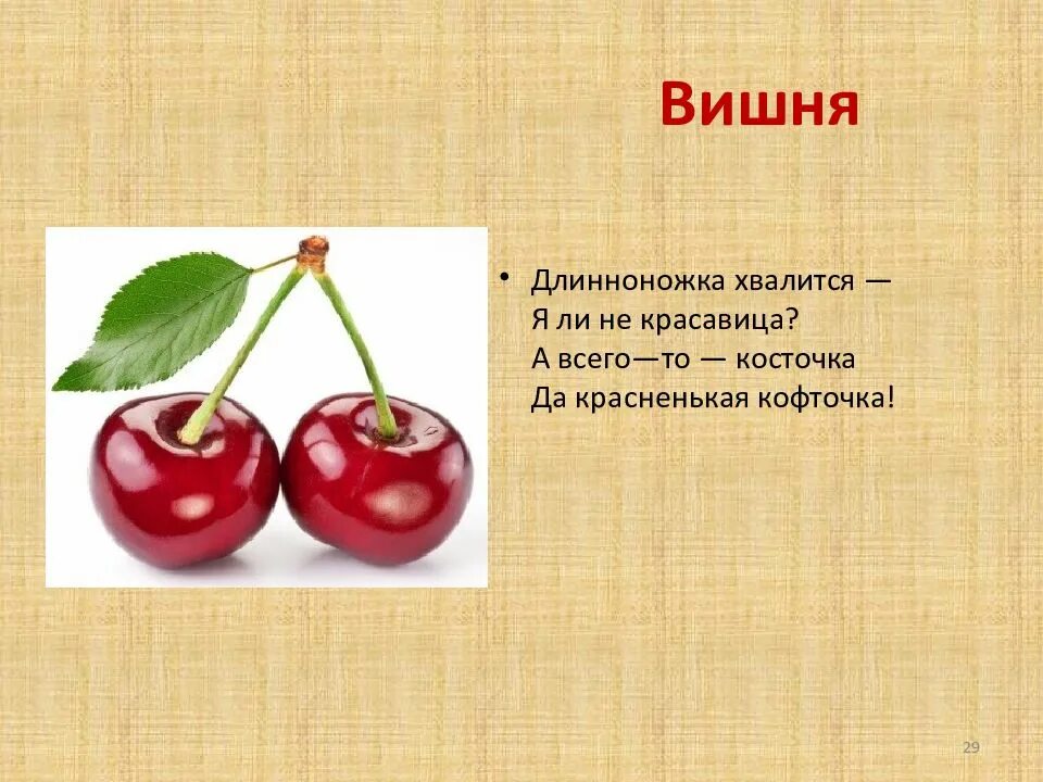 Загадка про вишню. Стих вишня. Загадка про вишню для детей. Стих про вишню для детей. Ответ на загадку красненькая