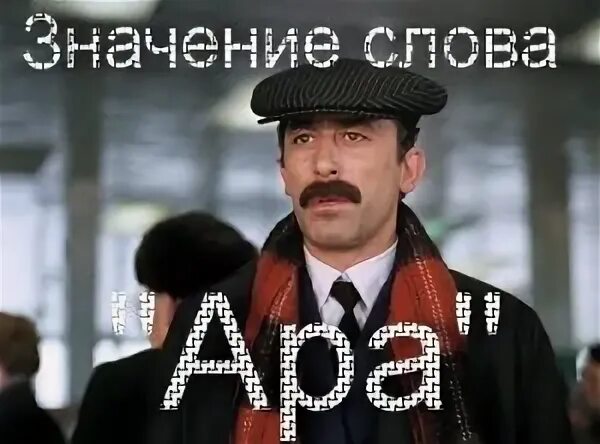 попугай ара мем. что такое ара на армянском. кавказец тост. ара армянин. армяне.
