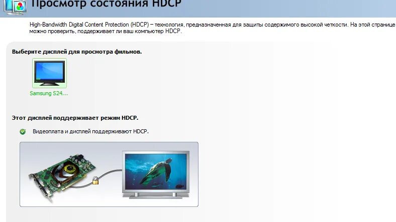 Видеокарта в мониторе. HDCP что это в мониторе. Видеокарта и дисплей поддерживают HDCP. Поддержка HDCP. Просмотр состояние HDCP.