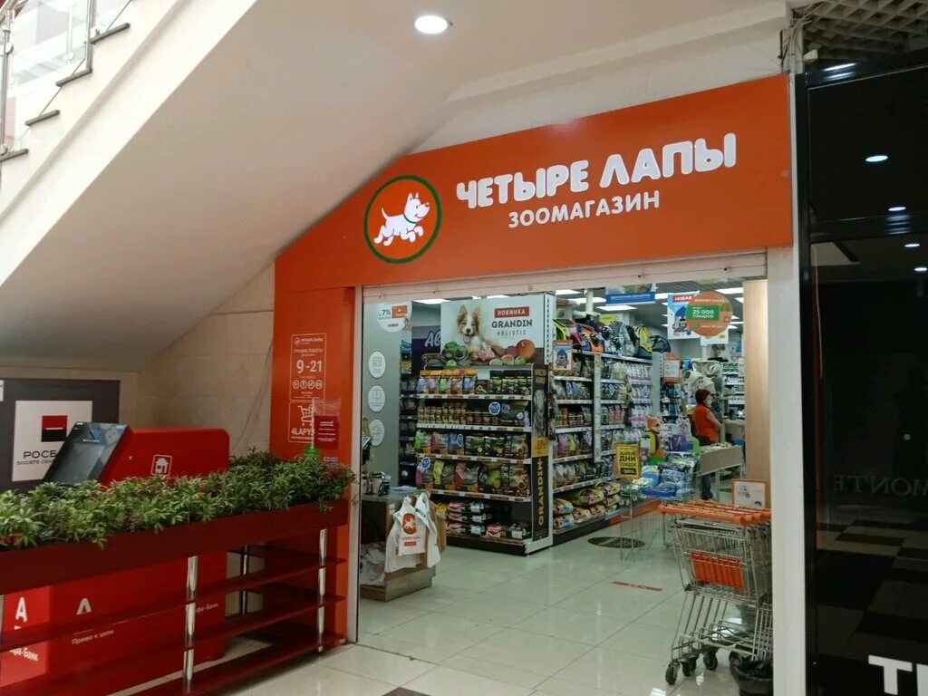 магазин четыре лапы в самаре. зоомагазин 4 лапы. четыре лапы бор нижегородской области режим работы. 4 лапы магазины липецк. логотип магазина четыре лапы.