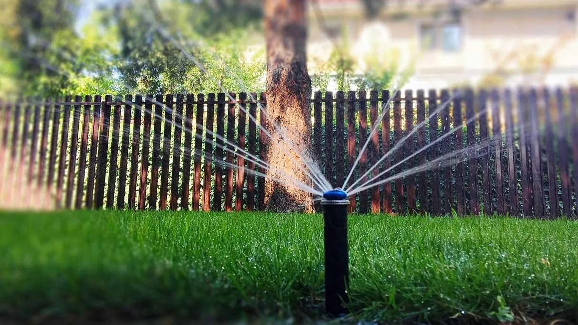 Автополив уфа. Компито автополив. автополив под ключ. полив на даче. автополив газона под ключ.