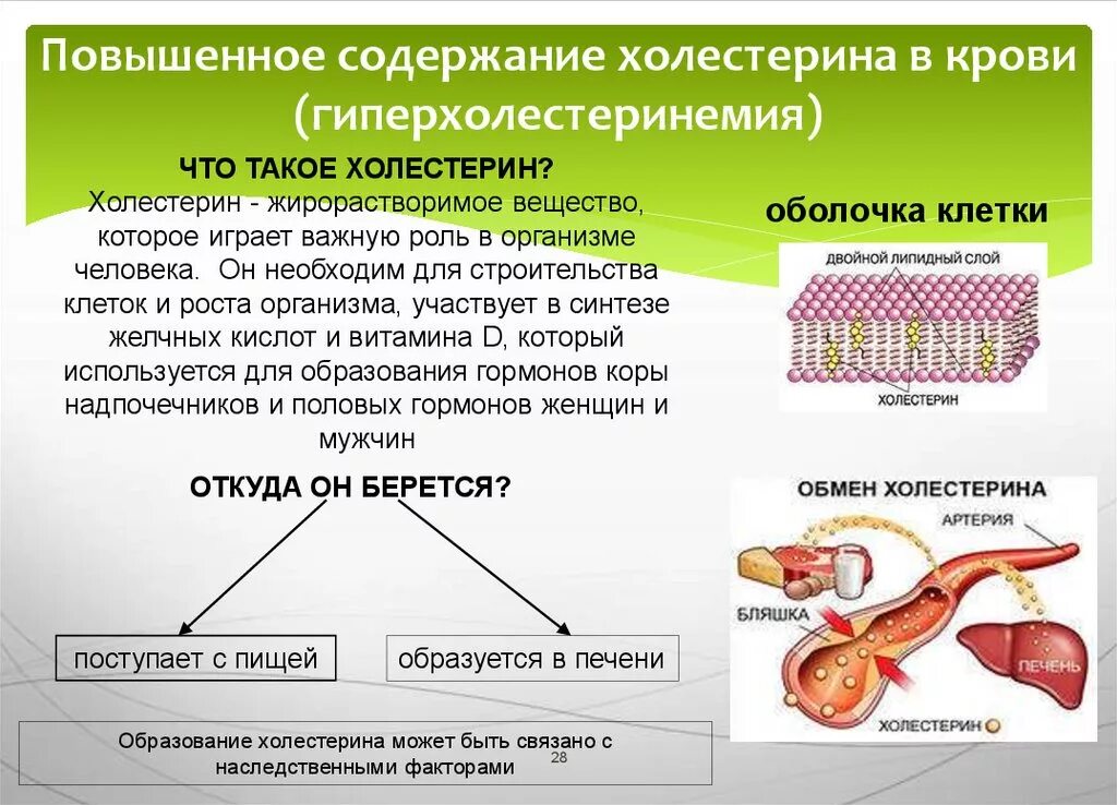 О чем говорит повышенный холестерин в крови. Холестерин. Влияние холестерина на организм. Повышение содержания холестерина в крови. Повышенный уровень холестерина.