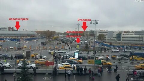 Пробка аэропорт домодедово
