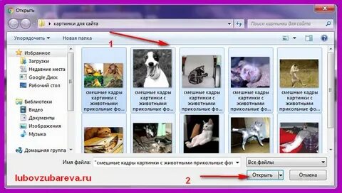 Сайт где видеоролики