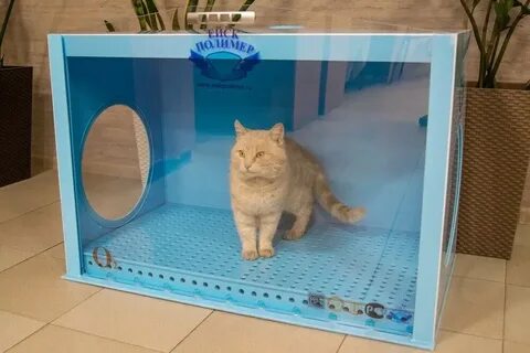 Кислород для животных