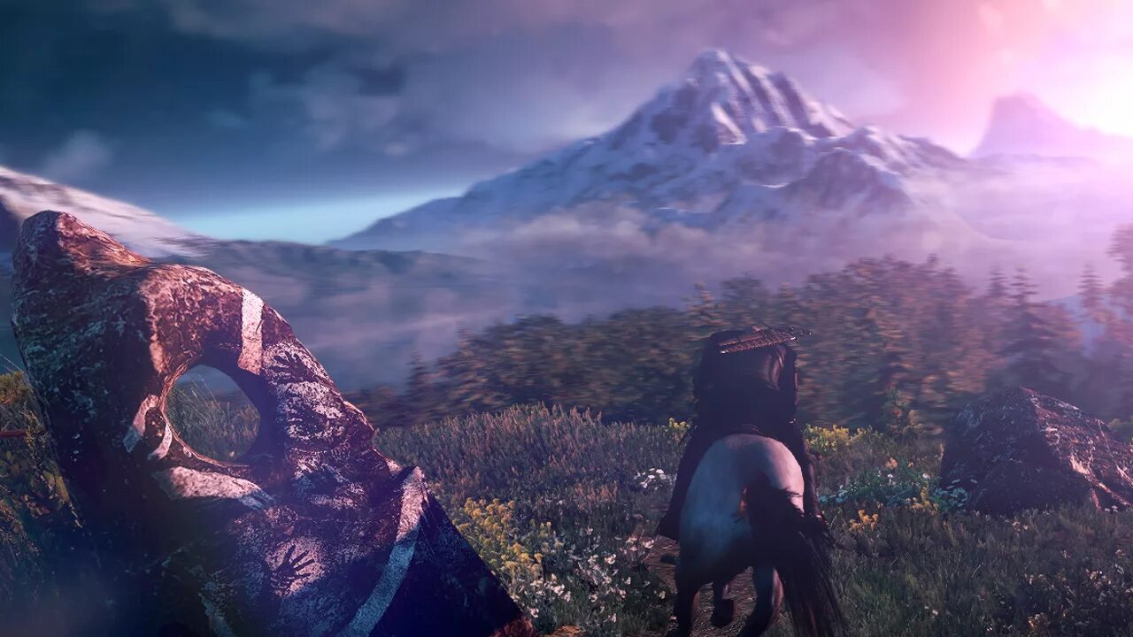 Ведьмак 3 эссенция. Witcher 3. скеллиге ведьмак 3 арт. ард скеллиге ночь лес. скеллиге в реальной жизни.
