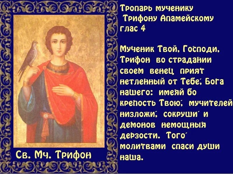 Молитвы трифону читать. Тропарь Трифону мученику. Молитва св мученику Трифону. Тропарь святому Трифону мученику.