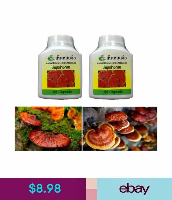 Рейши сколько. Ganoderma lucidum капсулы. тайские капсулы линчжи рейши. капсулы линчжи- рейши широкого спектра (thanyaporn herbs lingzhi capsules), 100 капсул. гриб рейши тайланд.